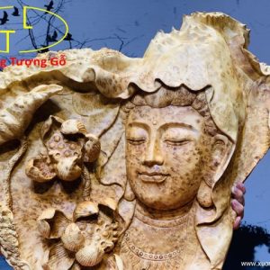 Diện Phật Nu Ngọc Am