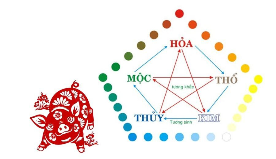 Ảnh hưởng của cung phi theo giới tính đối với người sinh năm 1995