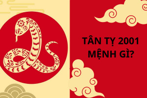 Bạch Lạp Kim tượng trưng cho sự tôi luyện và giá trị tiềm ẩn của người sinh năm 2001