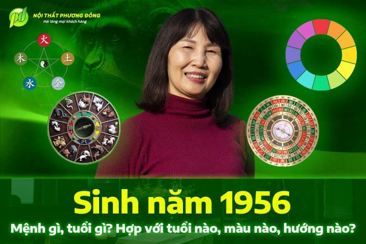 Bản đồ Ngũ hành và Can Chi của người sinh năm 1956