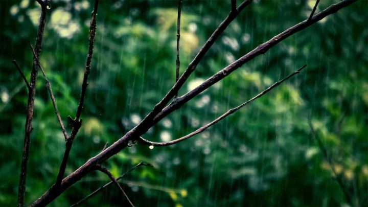 Bàn thờ và đồ thờ cúng trang nghiêm