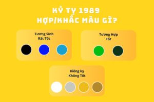 Bảng màu sắc phong thủy hợp và kỵ cho người mệnh Mộc 1989
