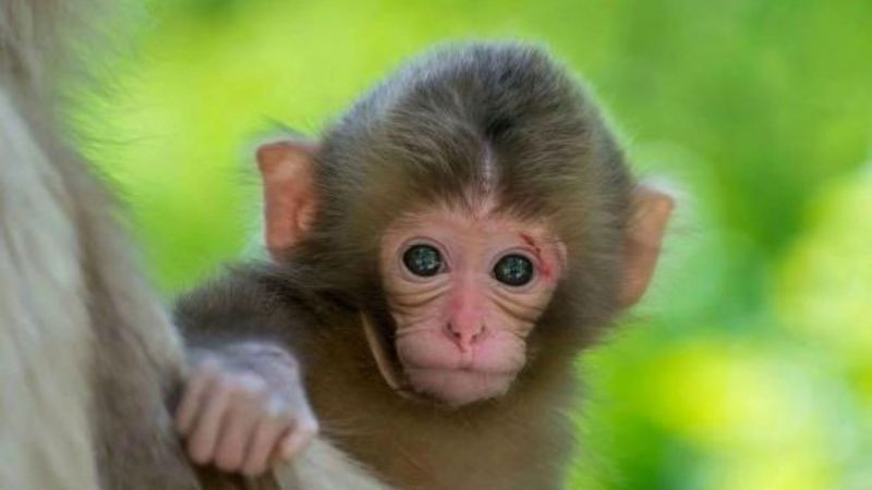 Bảng màu sắc tương hợp và tương khắc cho người mệnh Kim 1992