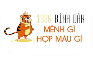 Bảng màu sắc tương hợp và tương khắc theo phong thủy cho người tuổi Bính Dần 1986