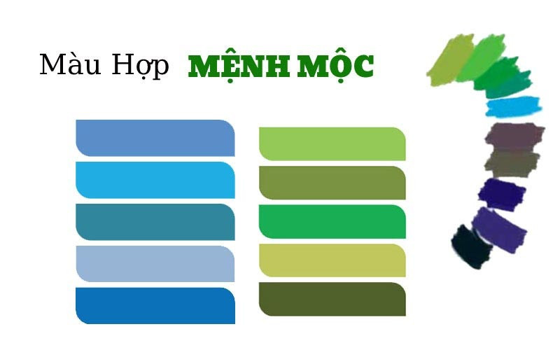 Bảng màu sắc tương sinh cho người mệnh Mộc 1988