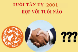 Bảng tuổi hợp kỵ của người sinh năm 2001