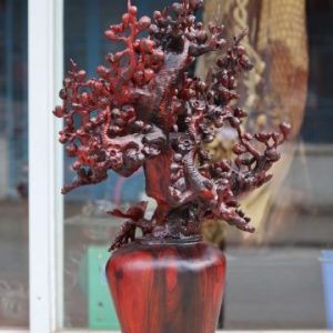 Bình Mai Gỗ Trắc