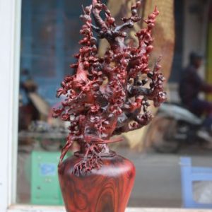 Bình Mai Gỗ Trắc