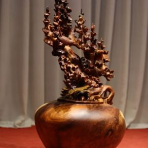 Bình Mai Gỗ Hương