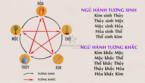 Biểu đồ Ngũ hành minh họa quy luật tương sinh tương khắc