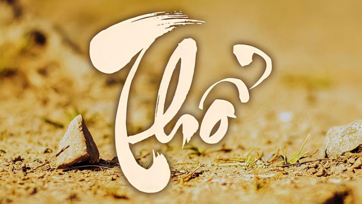 Bình Tuất 2006 thuộc mệnh Thổ, cung Chấn theo thuyết phong thủy