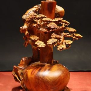 Bình Bon Sai Gỗ Hương