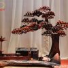 Tiểu Cảnh Cây Tùng Nhà Tranh Gỗ Trắc