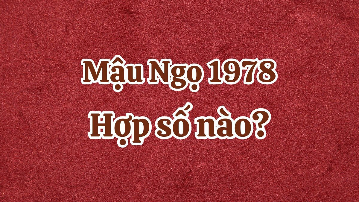 Các con số may mắn của 1978