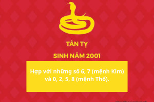 Các con số tài vận may mắn của tuổi Tân Dậu 2001