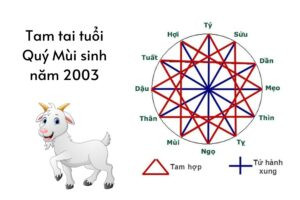 Cách tính hạn Tam Tai cho tuổi Mùi 2003