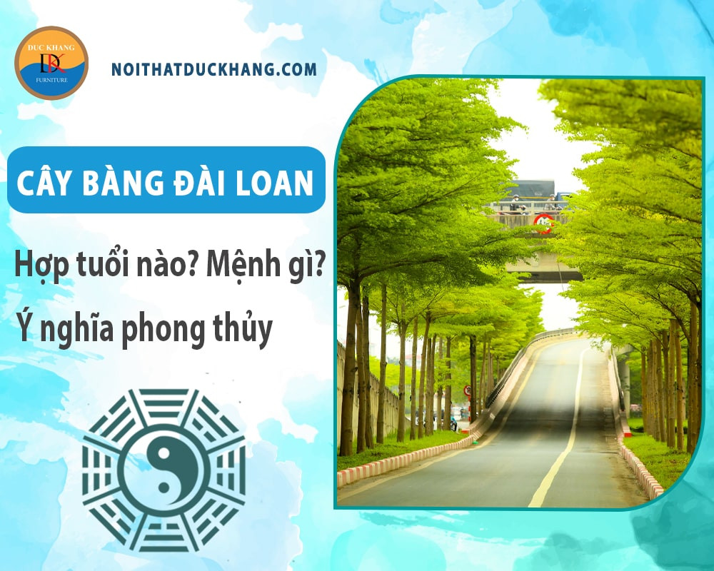 Cây bàng Đài Loan biểu trưng cho sự kiên cường, vươn lên mạnh mẽ