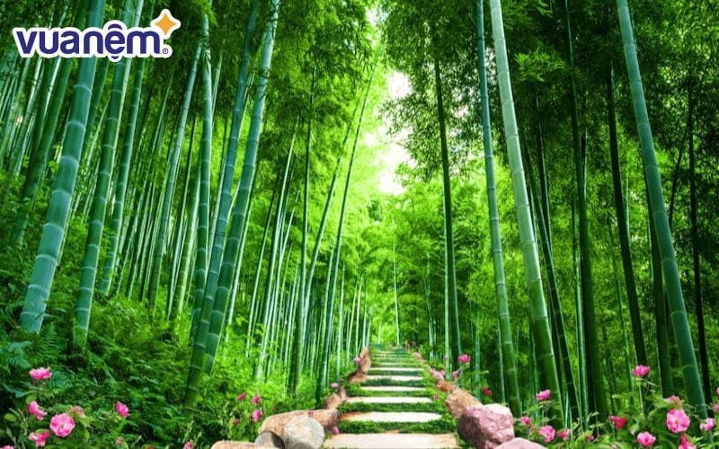 Cây trúc tượng trưng cho sự dẻo dai và mạnh mẽ trong phong thủy