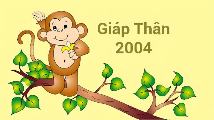 Chân dung nam sinh 2004 mệnh gì