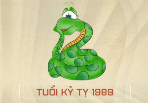 Chu kỳ Tam Tai của tuổi Kỷ Tỵ 1989