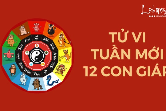Tử vi mỗi ngày: Dự báo vận mệnh, tình duyên và sự nghiệp hôm nay cho 12 con giáp