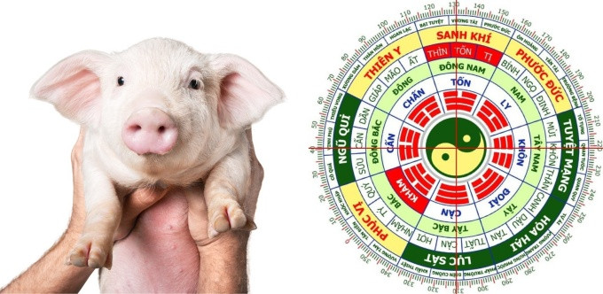 Cung mệnh của người sinh năm 2007 có sự khác biệt giữa nam và nữ