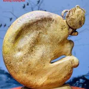 Đạt Ma Múa Võ Nu Ngọc Am