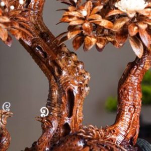 Chậu Hoa Hồng Cổ Sapa Chất Liệu Gỗ Sưa Chậu Hoa Hồng Cổ Sapa Chất Liệu Gỗ Sưa