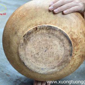 Chum Nu Ngọc Am