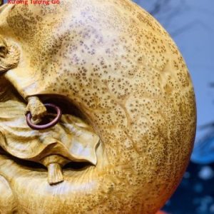 Đạt Ma Múa Võ Nu Ngọc Am