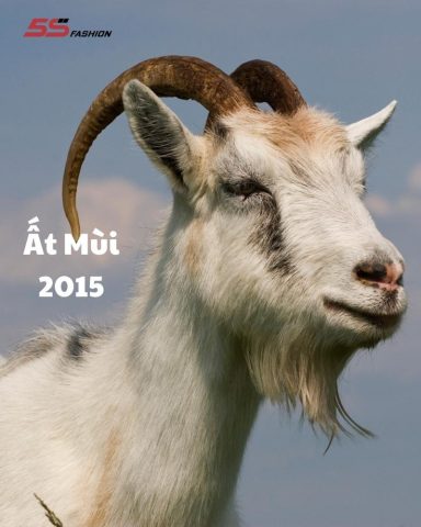 **Giải Mã Bí Ẩn Về Người Sinh Năm 2015 Mệnh Gì Nam**