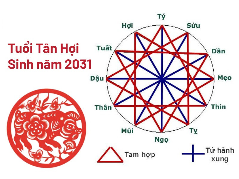 Hình ảnh các cặp đôi đang bàn bạc về việc xem tuổi hợp mệnh để sinh con năm 2031