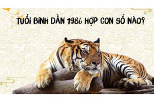 Hình ảnh các con số may mắn có liên quan đến tuổi Bính Dần 1986