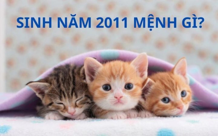 Hình ảnh đại diện cho người sinh năm 2011 thuộc mệnh Mộc với ý nghĩa kiên cường, bền bỉ