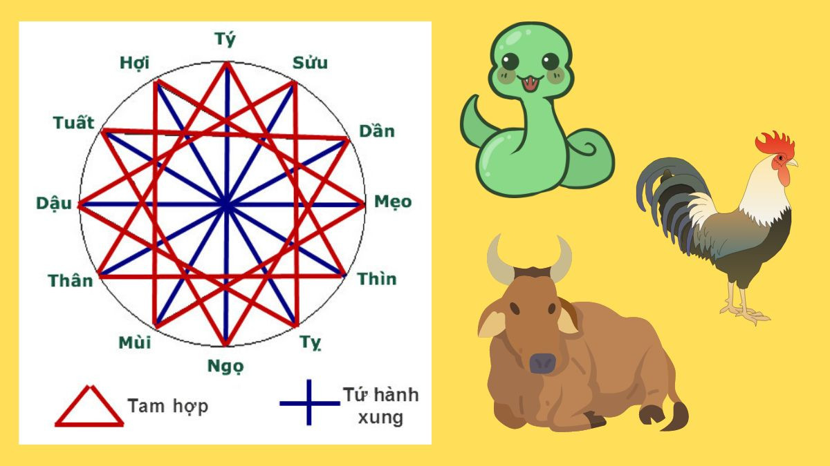 Hình ảnh minh họa các con giáp tam hợp