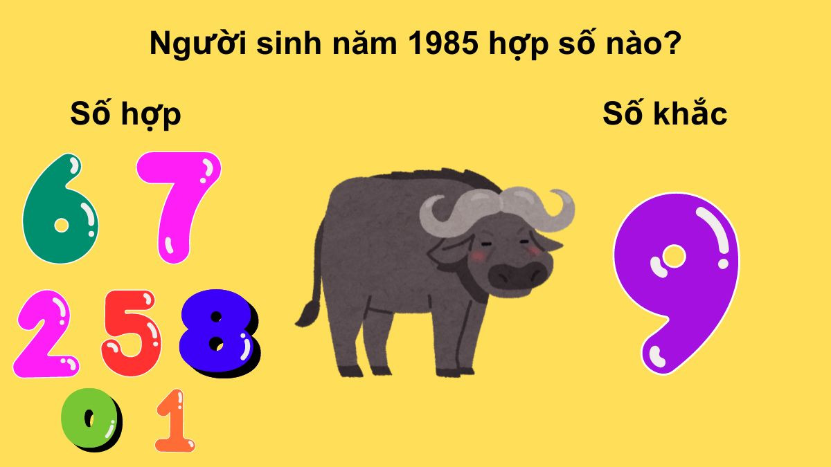 Hình ảnh minh họa các con số hợp mệnh Kim