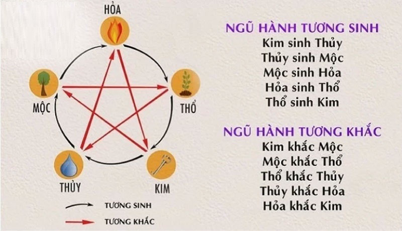 Hình ảnh minh họa các tuổi hợp với người tuổi Tý