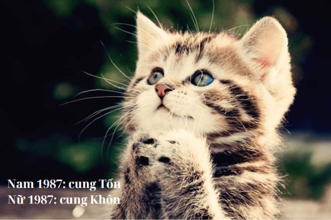 Hình ảnh minh họa cho các yếu tố phong thủy liên quan đến tuổi 1987