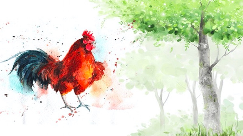 Hình ảnh minh họa cho sự hòa hợp tuổi tác, có thể là hình ảnh tượng trưng cho sự kết nối
