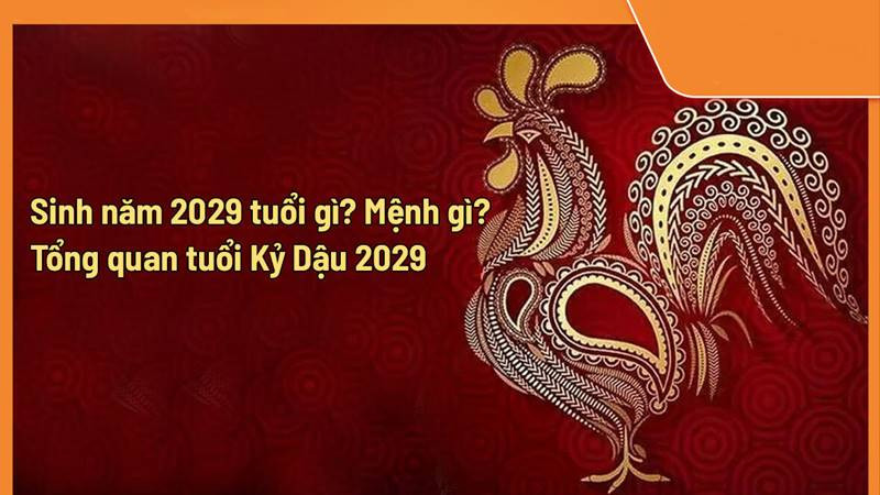 Hình ảnh minh họa màu sắc hợp kỵ năm 2029