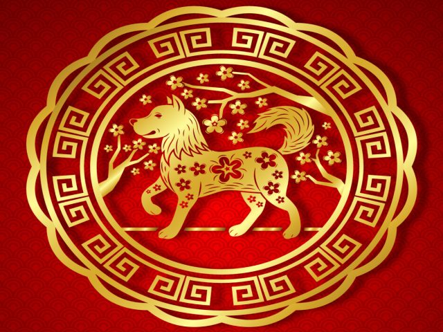 Hình ảnh minh họa một người tuổi Mậu Tuất 1958