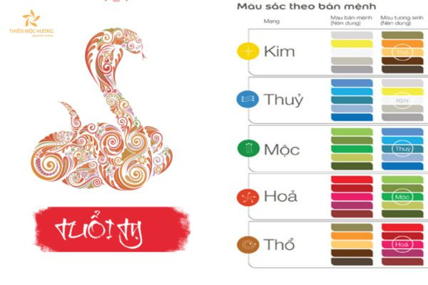 Hình ảnh minh họa người tuổi Quý Tỵ sinh năm 1953 trong phong thủy