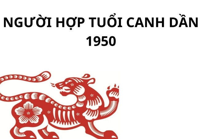 Hình ảnh minh họa sự hợp tác kinh doanh giữa các tuổi hợp nhau