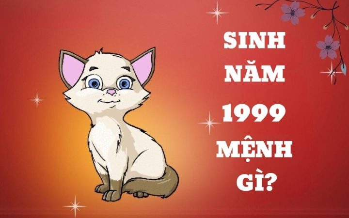 Hình ảnh minh họa về các yếu tố phong thủy liên quan đến tuổi Kỷ Mão 1999