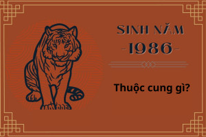 Hình ảnh minh họa về cung mệnh theo giới tính của tuổi Bính Dần