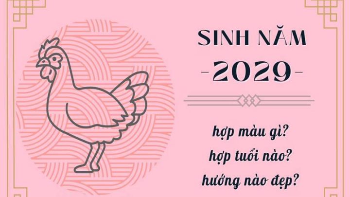 Hình ảnh minh họa về người sinh năm 2029 tuổi con gì và các đặc điểm liên quan