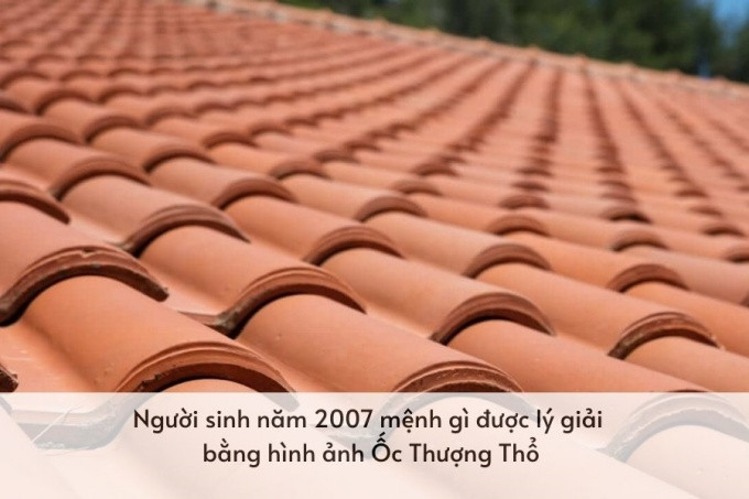 Hình ảnh minh họa về người tuổi Đinh Hợi 2007 với đặc trưng tính cách vững vàng theo mệnh Thổ