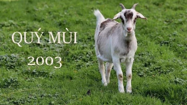 Hình ảnh minh họa ý nghĩa bản mệnh Lư Trung Hỏa của người tuổi Quý Mùi