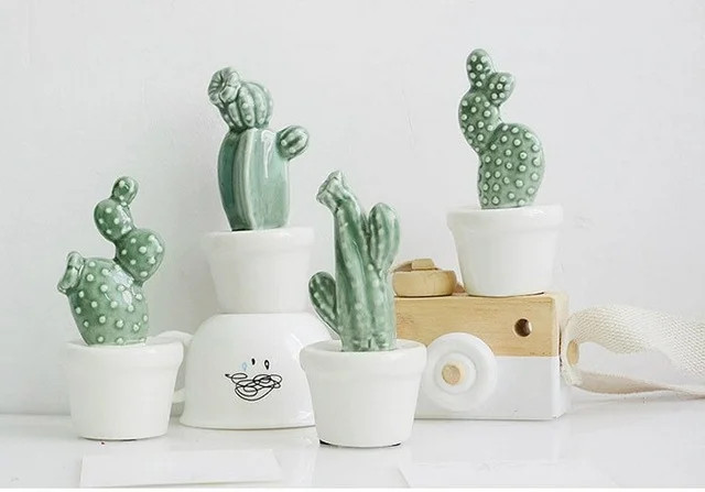 Hình ảnh một chậu xương rồng nhỏ trang trí trên bàn làm việc