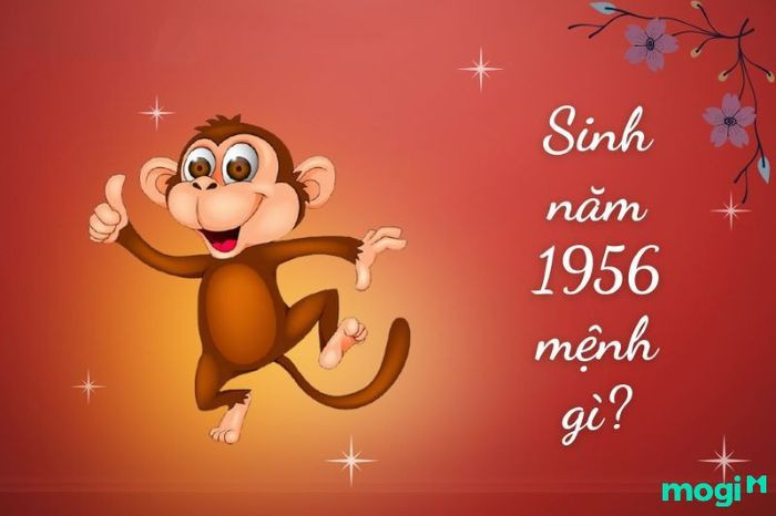 Hình ảnh ngọn lửa tượng trưng cho mệnh Hỏa